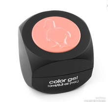 Load image into Gallery viewer, UGLY DUCKLING COLOR GEL