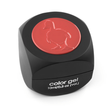 Load image into Gallery viewer, UGLY DUCKLING COLOR GEL